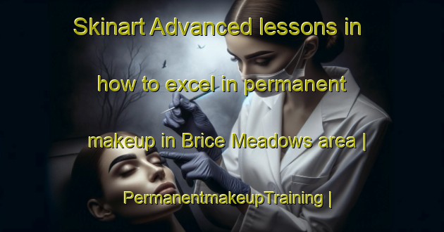 Skinart Advanced lessons in how to excel in permanent makeup in Brice Meadows area | PermanentmakeupTraining | PermanentmakeupClasses | SkinartTraining-United States